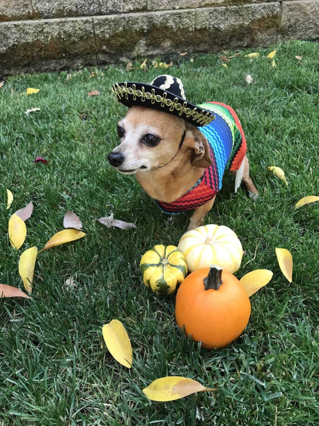 Mia
